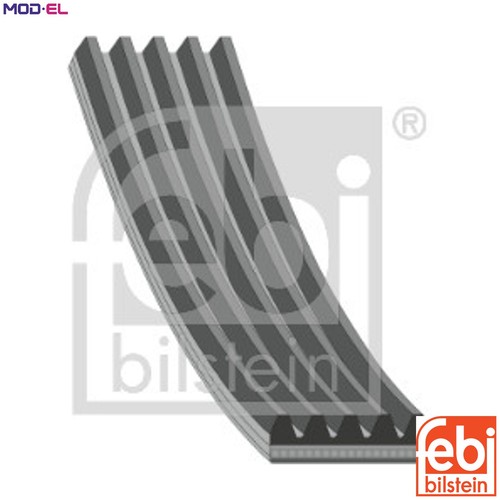 Vribbed belt 37531 for - vribbed,