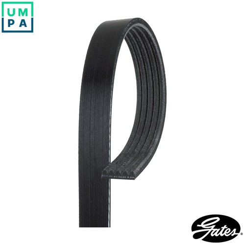 Vribbed belt 5pk963 for - belt,
