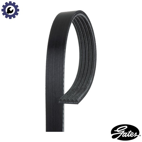 Vribbed belt 5pk963 - vribbed,