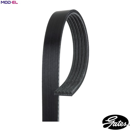 Vribbed belt 5pk778 - vribbed,