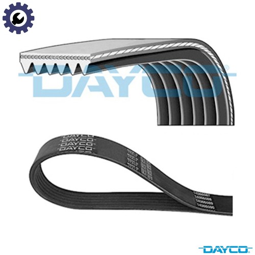 Vribbed belt 6pk1065 for - vribbed,