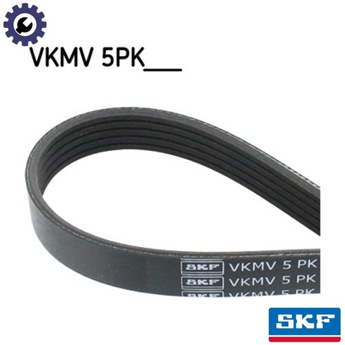 Vribbed belt vkmv 5pk780 for - vribbed,