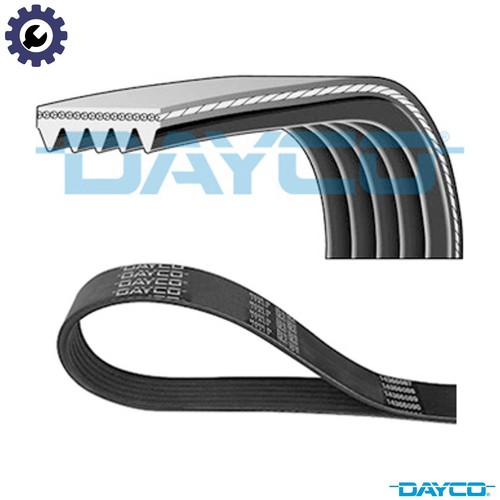 Vribbed belt 5pk775 - 5pk775, for